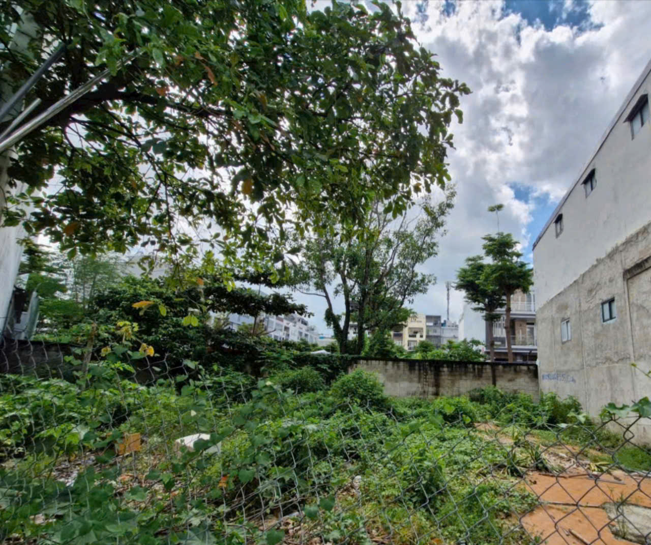 BÁN ĐẤT VÀNG QUẬN 7 - SÁT LOTTER MART - 110MV - TRẦN XUÂN SOẠN - CHỈ NHỈNH 60 TR/MV